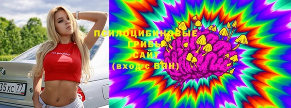 ALPHA-PVP Козловка