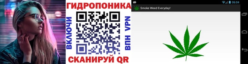 Канабис гибрид  Купить где  Губкинский 
